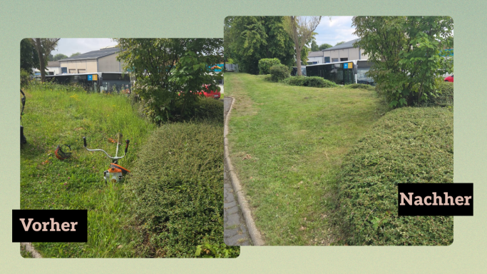 Links: unordentlicher Garten mit hohem Gras. Rechts: gepflegter, rasen gemähter Bereich.